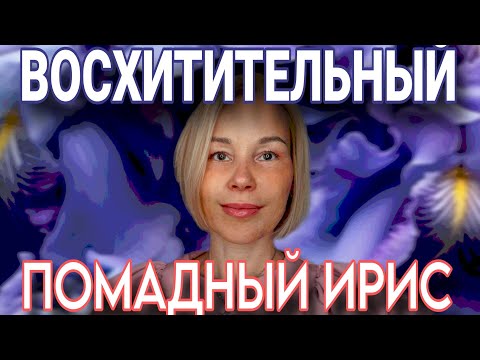 Видео: ПОМАДНЫЕ АРОМАТЫ С КРАСИВУЩИМ ИРИСОМ🪻🪻🪻РОСКОШЬ ВО ФЛАКОНЕ