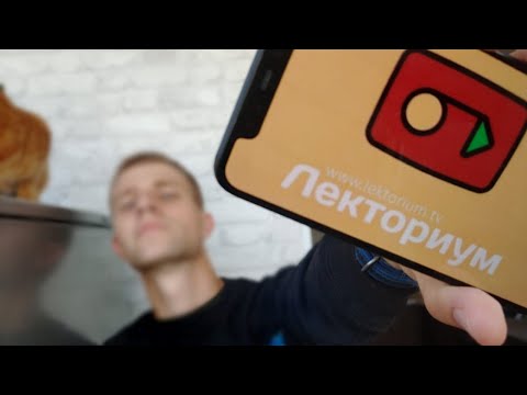Видео: Лекториум - ОБЗОР КУРСОВ