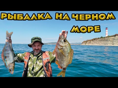Видео: Рыбалка на Чёрном море. Морская рыбалка с катера в Геленджике.