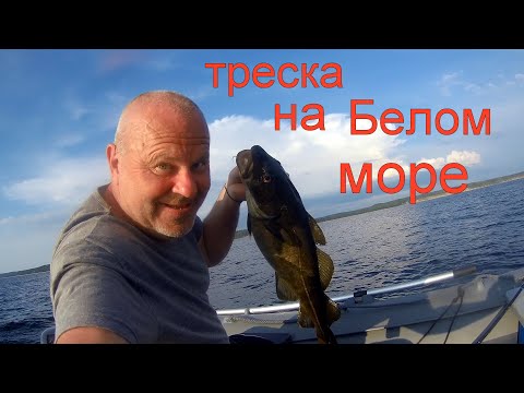 Видео: Архангельск, Белое море, треска, форель и не только.