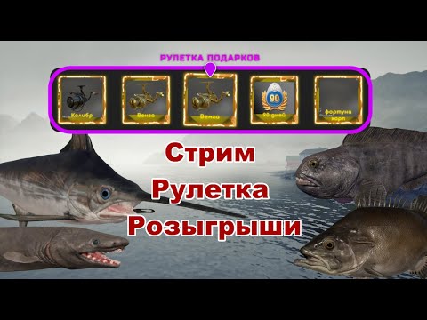 Видео: Русская Рыбалка 4 Раптор в рулетке .