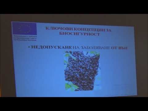 Видео: д-р Илиян Гечев - Нозематоза, лечение и синдром на празния кошер.