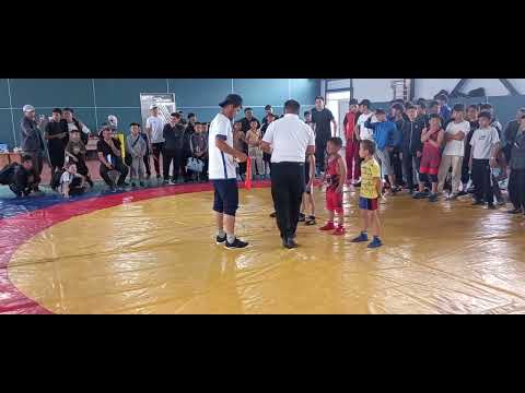 Видео: 13 апреля 2025 г.