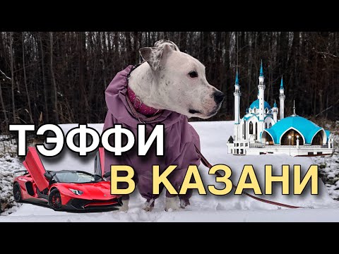 Видео: Тэффи в Казани | Долгожданный выпуск | Мини путешествие | Спасибо, что смотрите нас!