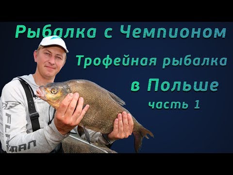 Видео: Рыбалка с чемпионом! Фидерная ловля трофейного леща в Польше!