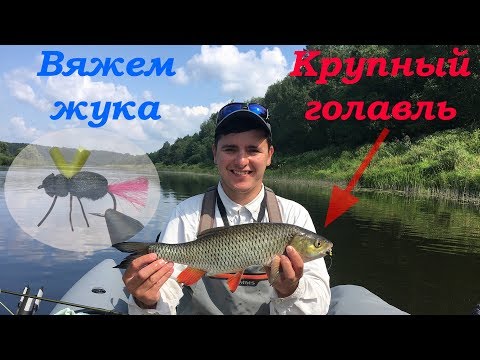 Видео: Вязание жука для ловли голавля