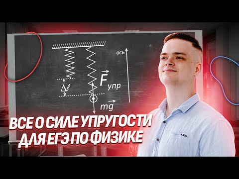 Видео: Все о силе упругости для ЕГЭ по физике I Умскул
