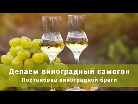 Видео: Постановка виноградной браги. Делаем виноградный самогон!