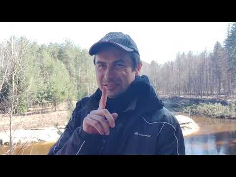 Видео: Уровень воды на реке Юшут - 16.04.23