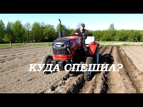 Видео: Садим картофель Рубин. Пошло не по плану.