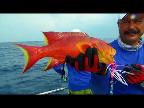 Видео: Ловля поппингом на Мальдивах \ Мировая рыбалка. Сезон 3.