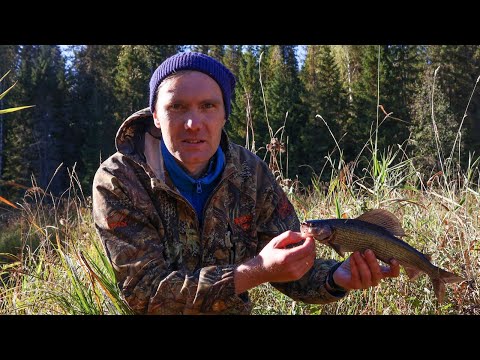 Видео: Омут забит рыбой. Рыбалка на хариуса.