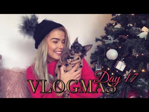 Видео: #17 VLOGMAS - Арчи вижда сняг за първи път 🐾 | 2018