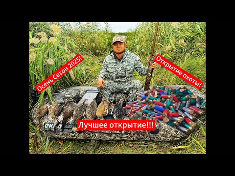 Видео: 🌅🦆 Лучшее открытие охоты на водоплавающую птицу 2025 – ЭТО НАДО ВИДЕТЬ!