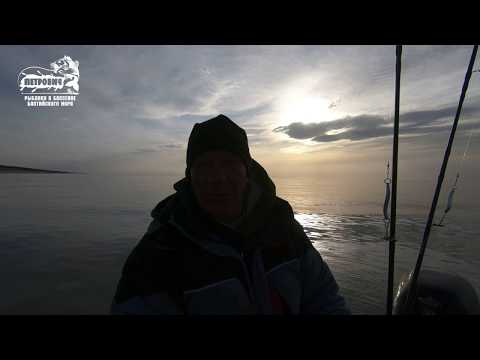 Видео: Большой улов. VLOG: Ловля лосося. Балтийское море. Троллинг.