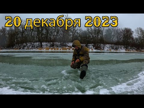 Видео: ЗИМНЯЯ РЫБАЛКА В ОТТЕПЕЛЬ на речке  20 декабря 2023