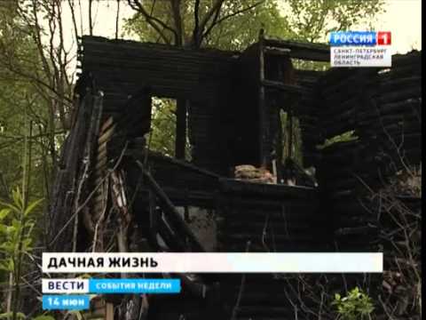 Видео: Судьба старых дач Курортного района. Часть 1