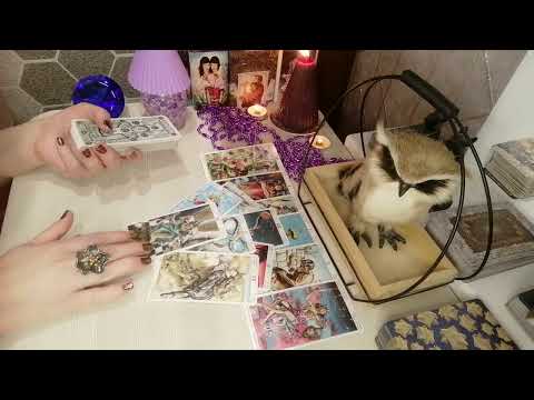 Видео: 🔥🤷‍♀️Вы ахнете🔥. О чем он сильно, сильно сожалеет🤷‍♀️🔥