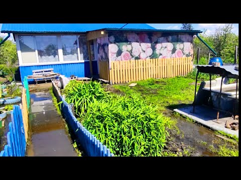 Видео: Думала буду отдыхать, а мама сказала будем работать  //  Наша дача