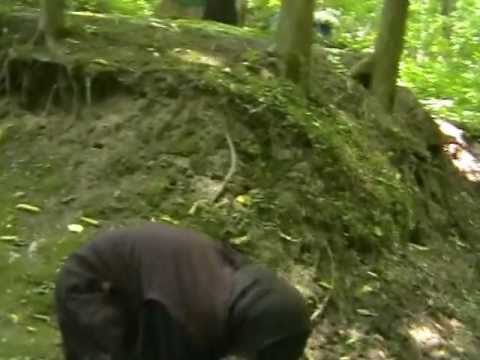 Видео: Лебединський монастир