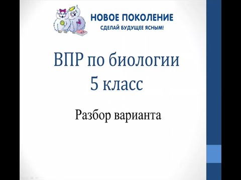 Видео: Биология. Разбор варианта ВПР по биологии 5 класс