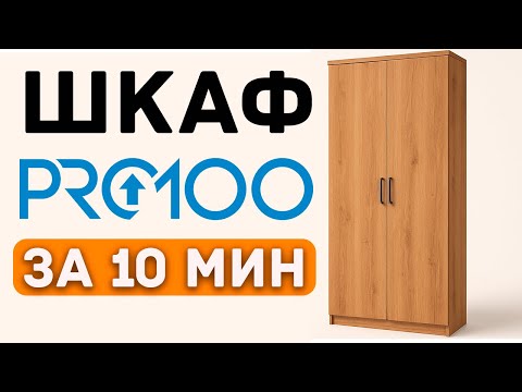 Видео: Быстрый старт в PRO100 для НОВИЧКОВ. Учимся на проекте ШКАФА.