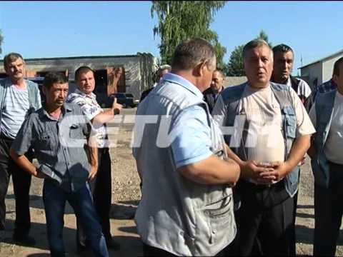 Видео: Забастовка, закончившаяся свержением власти, произошла в Пильне.