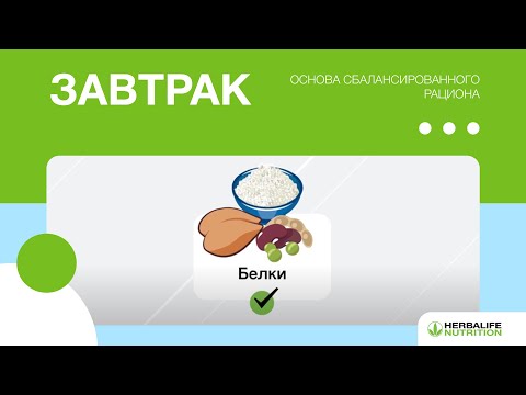 Видео: Завтрак — основа сбалансированного рациона