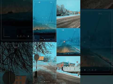 Видео: 4 ноября 2025 г.