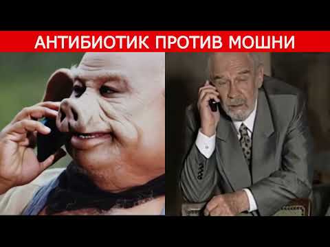 Видео: Участились случаи