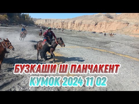 Видео: БУЗКАШИ КУМОК Ш ПАНЧАКЕНТ 2024 11 02