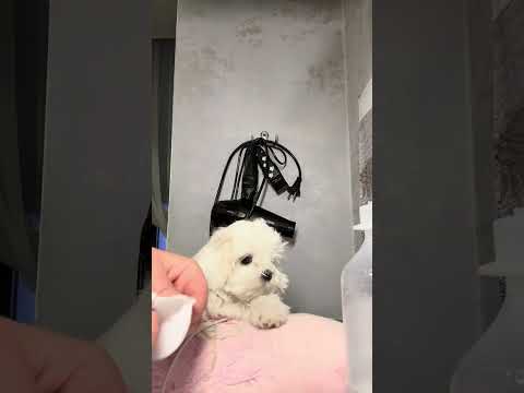 Видео: 27 октября 2025 г.