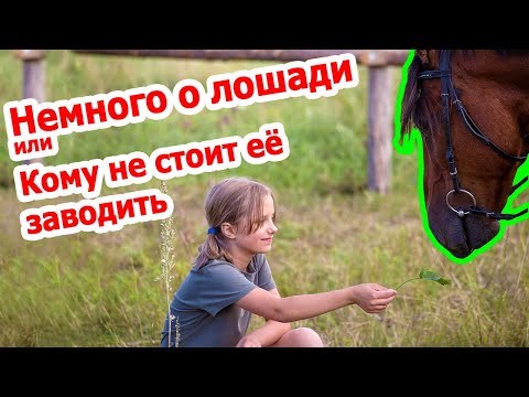 Видео: Немного о лошади или кому не стоит ее заводить