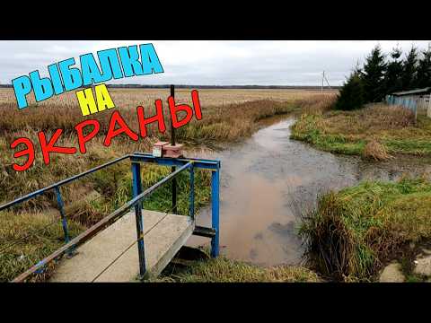 Видео: УДОЧКА против ЭКРАНА. Что победит?