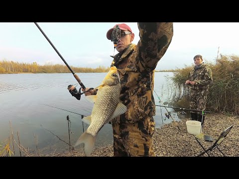 Видео: Рыбалка на карася осенью.Клюёт как шальной