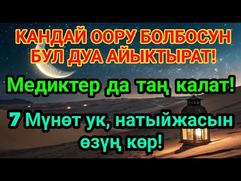 Видео: ДАРЫСЫ ЖОК ООРУГА ШЫПАА! Бул дуба менен керемет мүмкүн! ❤🤲