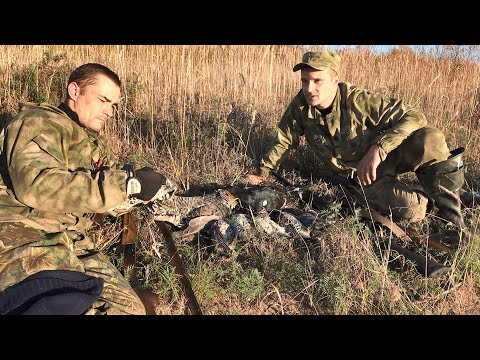 Видео: ДОБЫЛИ БЕЗ СОБАК СТОЛЬКО ДИЧИ. КОСАЧ ЗАСТАВИЛ ПОБЕГАТЬ, РЯБЧИКОВ И ГЛУХАРЕЙ МНОГО. РЕСПУБЛИКА КОМИ.