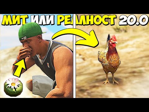 Видео: МИТ ИЛИ РЕАЛНОСТ 20.0 - GTA 5