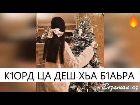 Видео: К1орд Ца Деш Хьа Б1аьра Хоьжур Вар Со😍