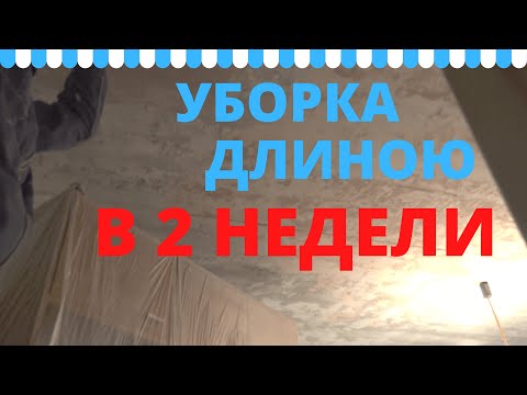 Видео: Неординарная генеральная уборка квартиры. Профессиональный клининг.
