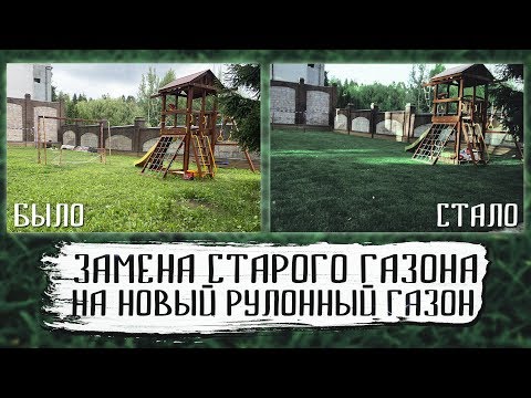 Видео: Замена старого газона на новый рулонный газон. Замена рулонного газона