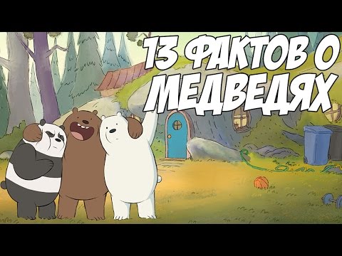 Видео: ВСЯ ПРАВДА О МЕДВЕДЯХ - 13 КЛЁВЫХ ФАКТОВ (WE BARE BEARS)