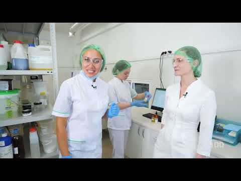 Видео: Мастерская Олеси Мустаевой | ПОГРУЖЕНИЕ НА 100. Выпуск №21