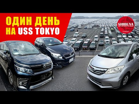 Видео: И СНОВА В РАЮ | USS TOKYO | АВТО ИЗ ЯПОНИИ