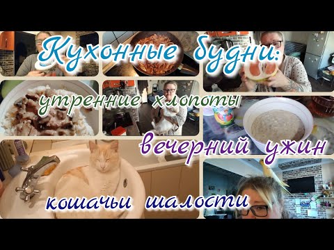 Видео: Утренний хаос и вечерний уют