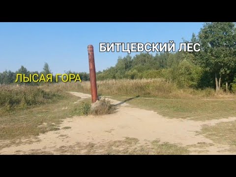 Видео: БИТЦЕВСКИЙ ЛЕС, "ЛЫСАЯ ГОРА".