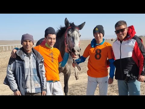 Видео: Жорго салыш 08 10 2022 Курчум Казакстан