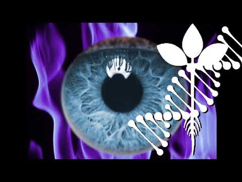 Видео: Демонстрация стеклодувного дела: как сделать реалистичный стеклянный глаз из боросиликатного стекла