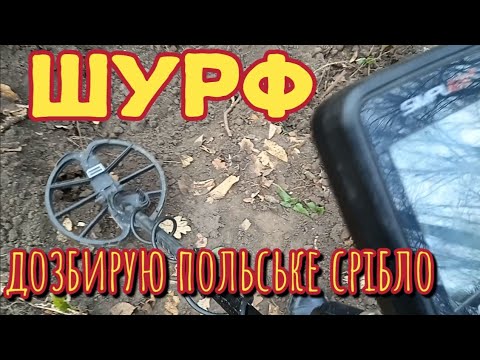 Видео: Повернувся на місце де знайшов польське срібло