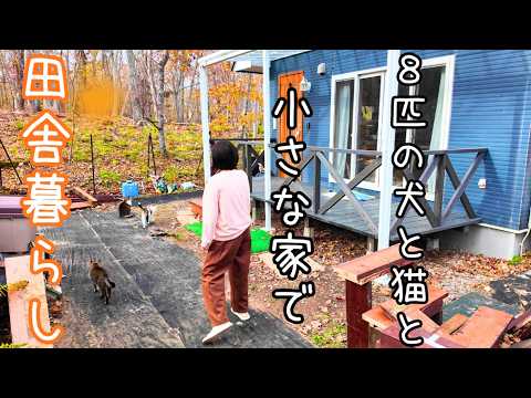 Видео: День, когда я был немного сломлен [Жизнь в сельской местности с собаками и кошками]